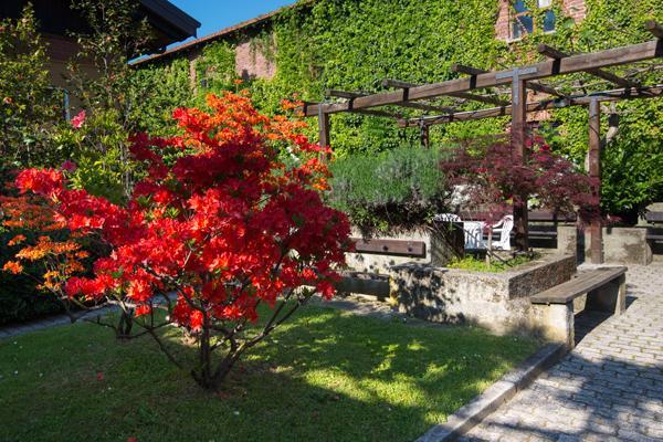 Foresteria Valdese Torre Pellice Exterior photo